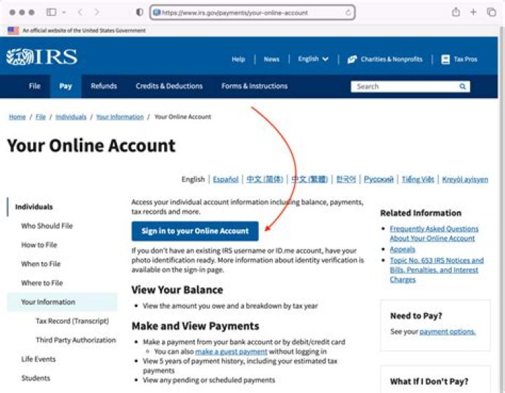 Why is my IRS get my payment page not available?
