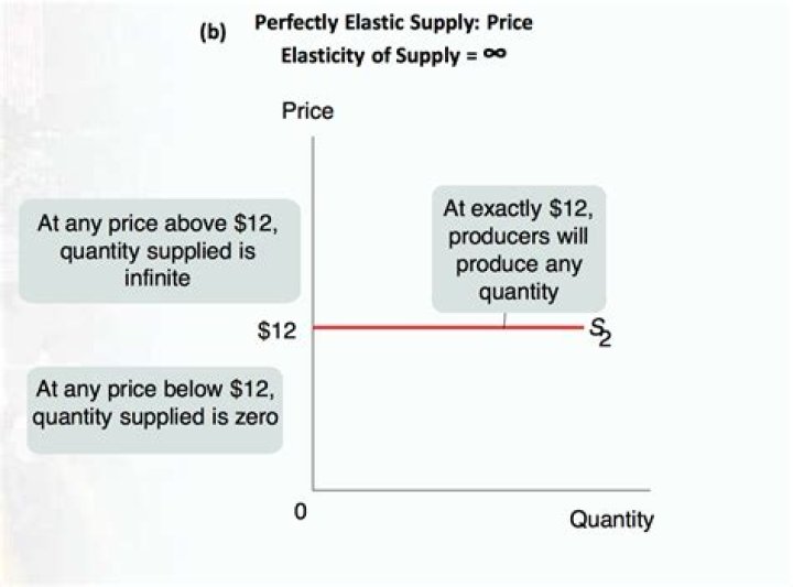 Why is supply world perfectly elastic?
