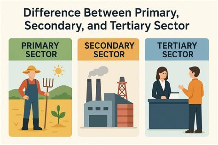 Why is the secondary sector the most important?