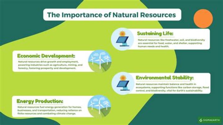 Why resources are required to be used efficiently?