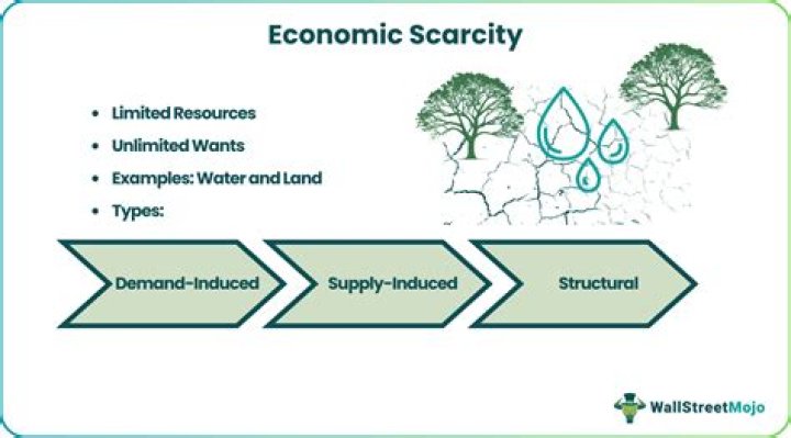 Why scarcity exists in this economy?