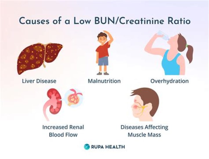 Why should creatine be banned?