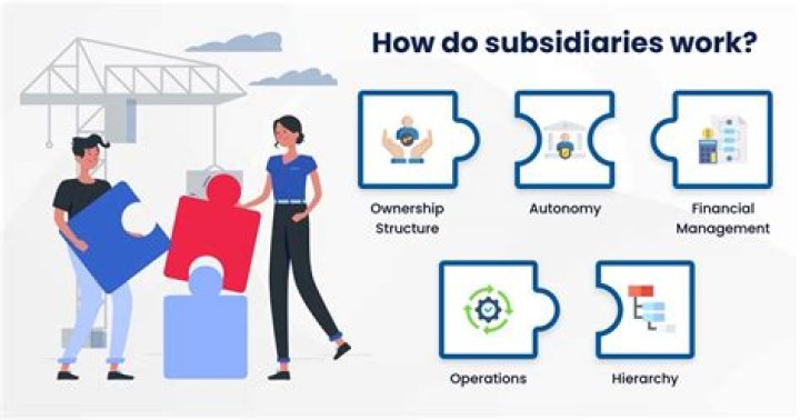 Why would a company want subsidiaries?